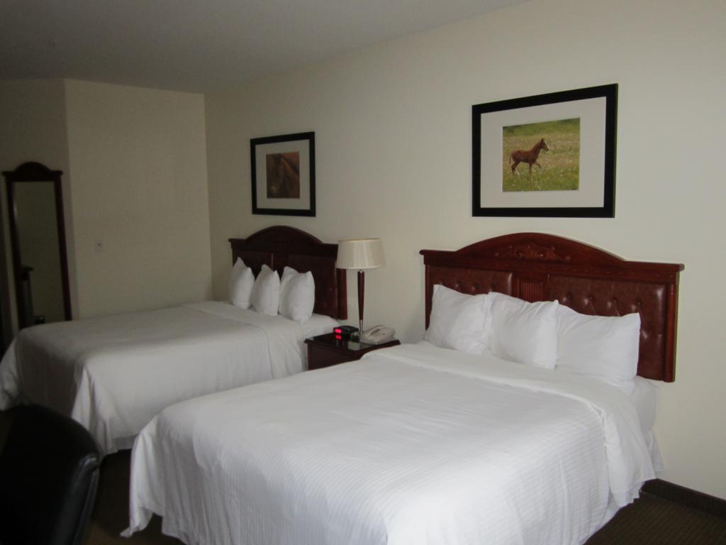 Trend Mountain Hotel & Conference Centre Tumbler Ridge Zimmer foto