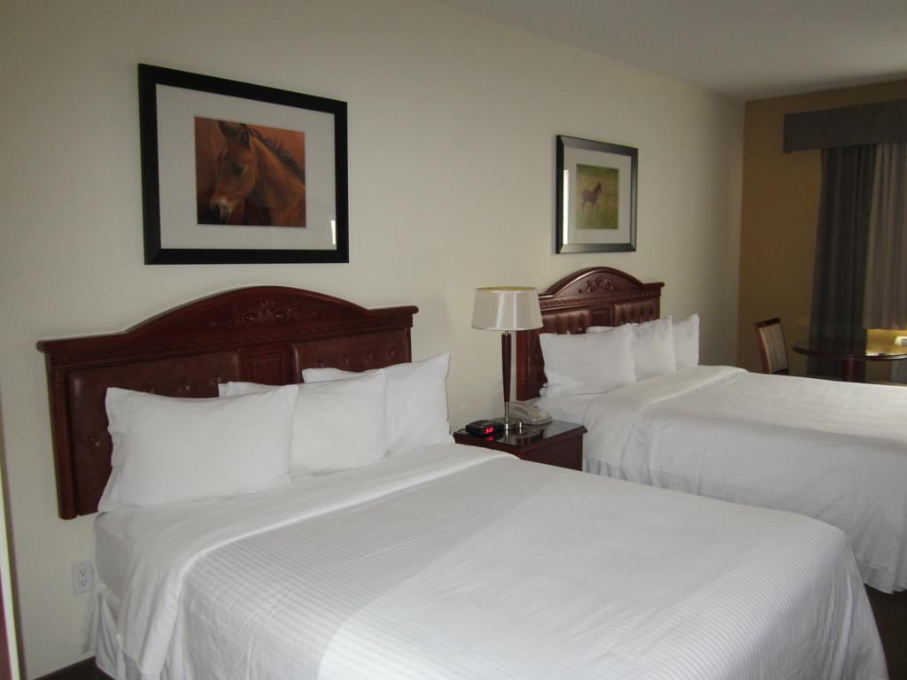 Trend Mountain Hotel & Conference Centre Tumbler Ridge Zimmer foto